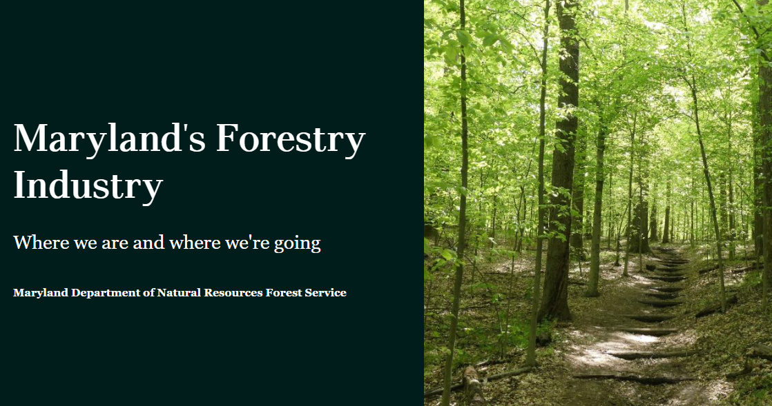 forestry-storymap.png